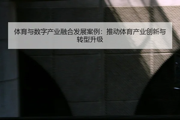 体育与数字产业融合发展案例：推动体育产业创新与转型升级